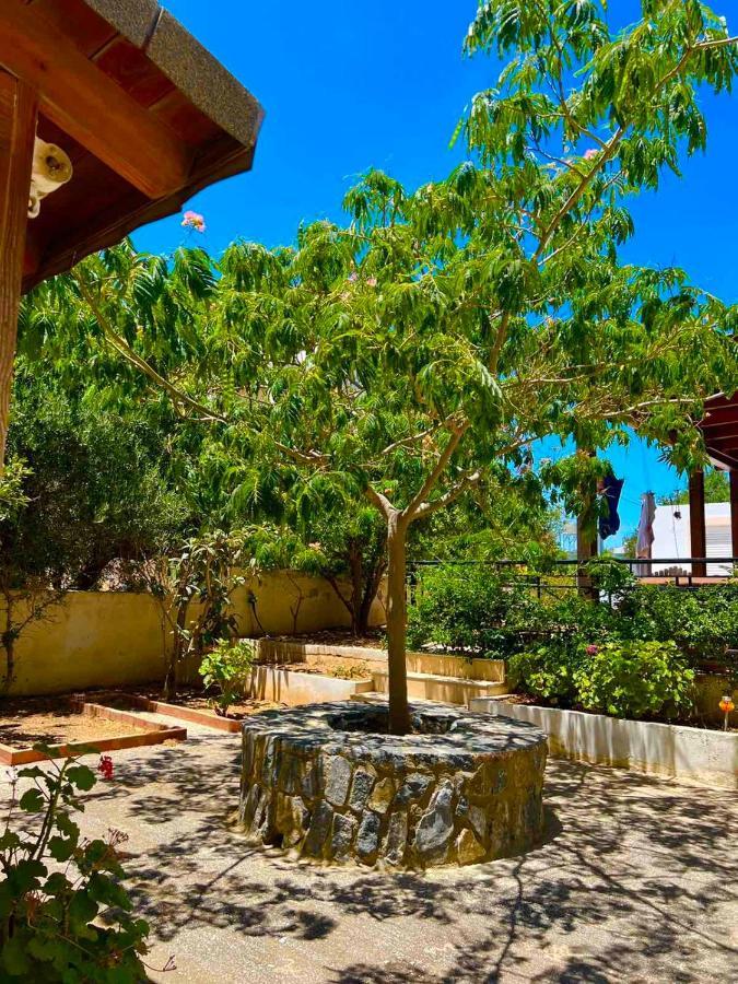 Cherrywood Creta Apartment 依拉佩特拉 外观 照片